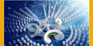 10_2016_ciudades ecologicas4