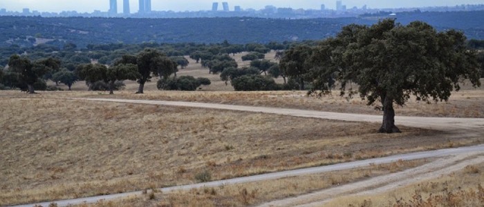 contaminación aire