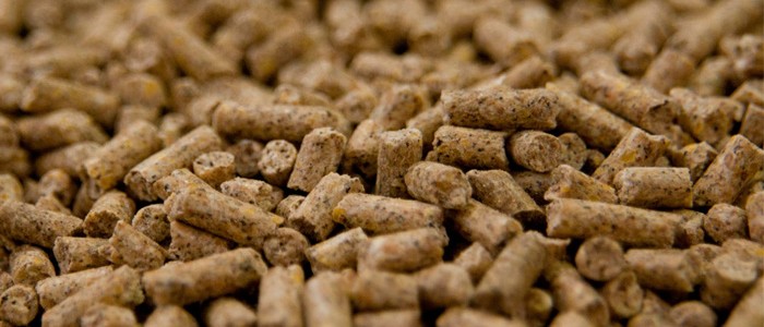 desperdicios alimentarios