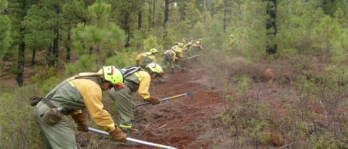 incendios forestales