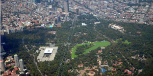 8_2015_ecologia bosque urbano 3