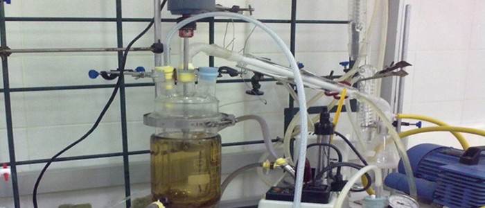proceso transformación biodiesel a polímero