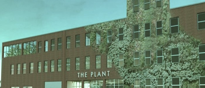 the plant cultivo vertical chicago